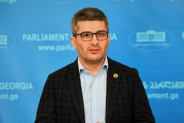 უტევენ საქართველოს ხელისუფლებას - მამუკა მდინარაძე ევროპარლამენტარებზე
