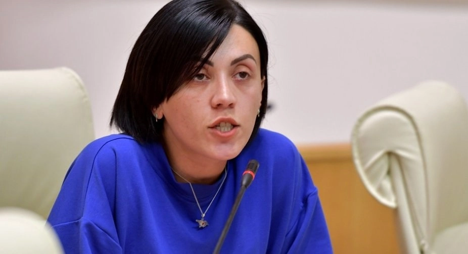 ნონა მამულაშვილს ჰქონდა პოტენციალი, მაგრამ დააკლდა პოლიტიკაში და პარტიაში ყოფნის გამოცდილება - ანა წითლიძე