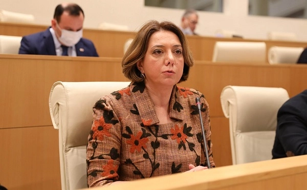 ამ პროცესს შანსი უნდა მივცეთ - სალომე სამადაშვილი ორბელიანების სასახლეში პოლიტიკური პარტიების მიწვევაზე