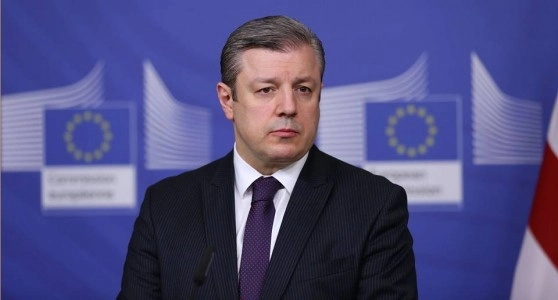 გიორგი კვირიკაშვილი იოჰანეს ჰანის შეხვდა