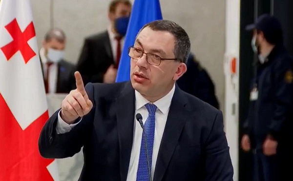 არც ერთი ხედვა არ იქნება მისაღები, რომელიც არ ამოწურავს მელიას, რურუასა და ვადამდელი არჩევნების საკითხს - გიგა ბოკერია