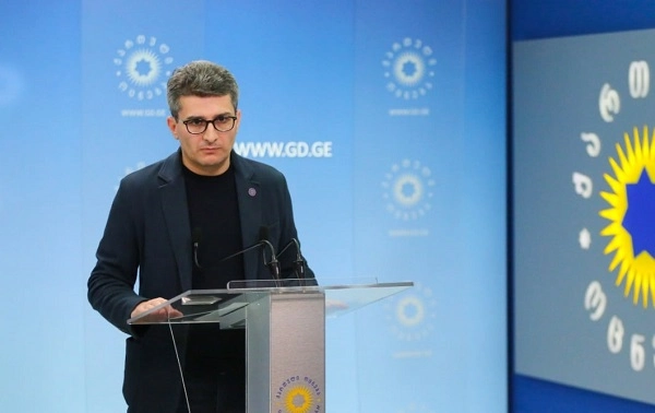 ოპოზიცია ეცდება ივანიშვილის მორალური გადაწყვეტილება რამენაირად გააუფერულოს - მდინარაძე