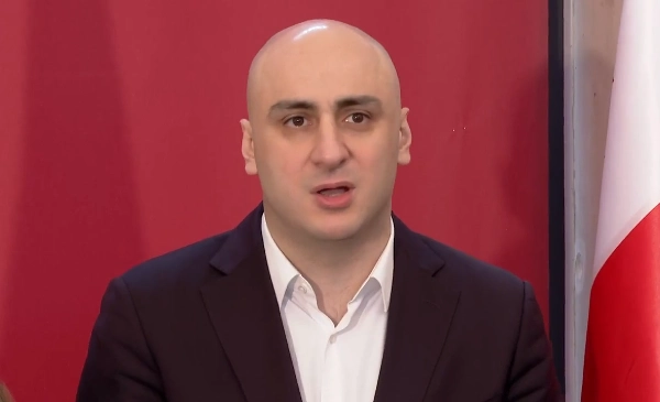 გაითხოვეთ ამნისტია და ვიღებ პასუხისმგებლობას, დავთანხმდე ევროკავშირის მიერ შემოთავაზებულ გირაოს  - ნიკა  მელია 