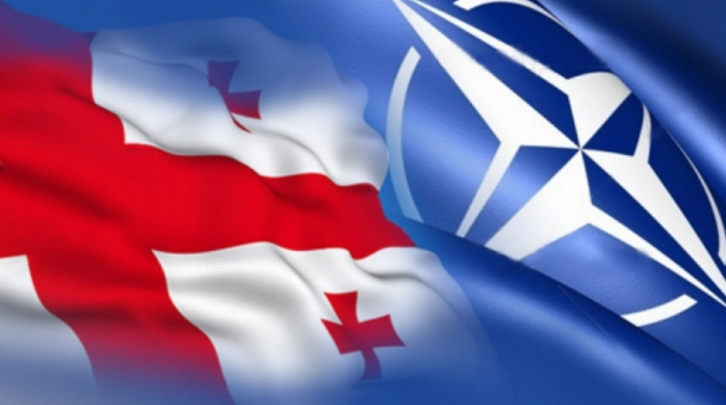  2017 წლის მაისში საქართველოში ნატო-ს საპარლამენტო ასამბლეის სესია გაიმართება