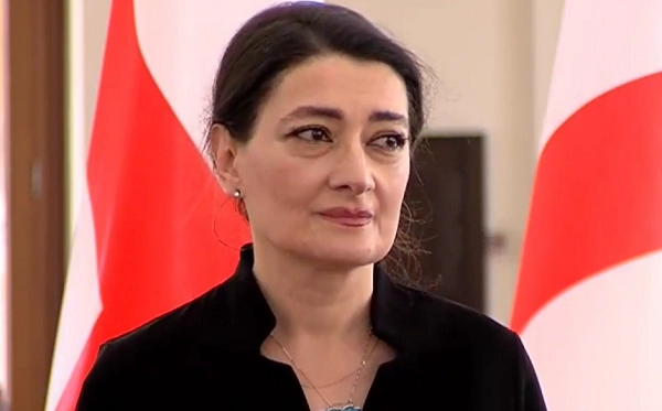  გამოვალთ მშვიდობიანად, გავაკეთებთ დიდ ალყას, და მიტაცებულ სახელმწიფოს მშვიდობიანად დავიბრუნებთ რუსთაველიდან - თაკო ჩარკვიანი