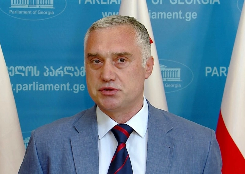 „ქართულმა ოცნებამ“ პოლიტიკური შეცდომა დაუშვა, რაც საფრთხეს უქმნის ქვეყანაში სტაბილურობას - ძიძიგური