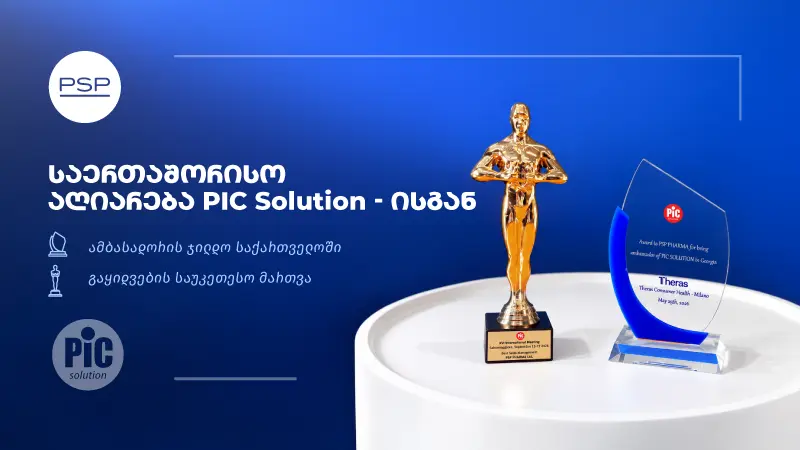 PSP-მ იტალიელი პარტნიორის, PIC Solution-ის, ორი საერთაშორისო ჯილდო მიიღო