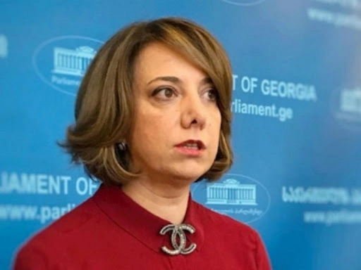არავის მივცემთ უფლებას ქვეყნისთვის მნიშვნელოვანი თემა პოლიტიკური ოპონენტების დევნისთვის გამოიყენოს - სალომე სამადაშვილი