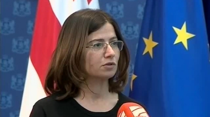 ბორჯომის ხეობაში მთავრობამ მოქმედება დააგვიანა - ირმა ნადირაშვილი