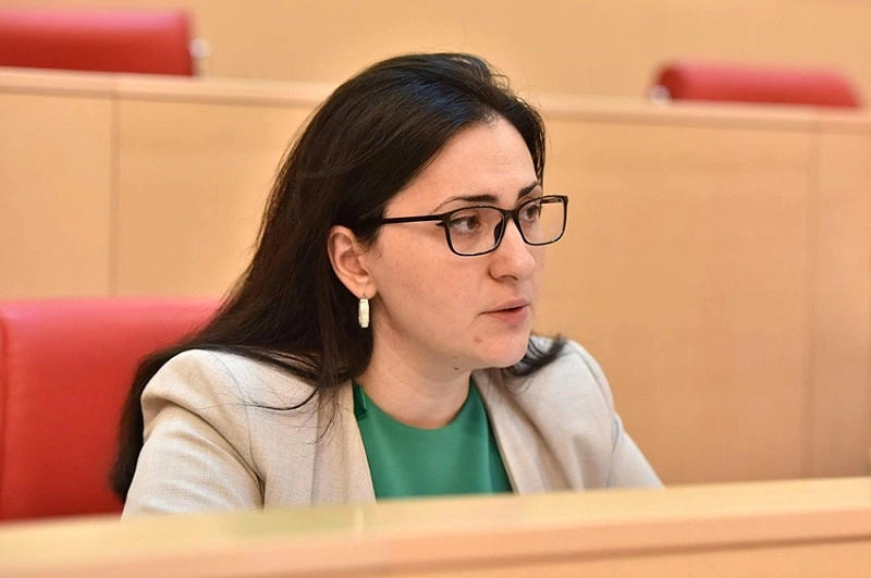 ვშიშობ, რომ გაერთიანებულ ოპოზიციას მხარდამჭერები არ ჰყავს იმ საქმეში, რასაც პარლამენტის დაშლა და მთავრობის გადაყენება ჰქვია – სოფო კილაძე