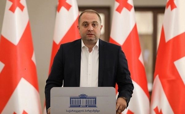 "ნაციონალური მოძრაობა", განსაკუთრებით ბოლო ორი წლის განმავლობაში, დაკავებულია ქვეყნის საბოტაჟით - ჩიქოვანი