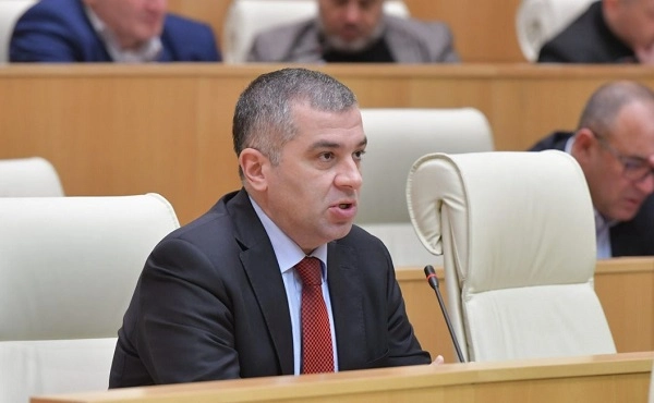 დავით ბაქრაძე საპარლამენტო მუშაობაში ჩაერთო