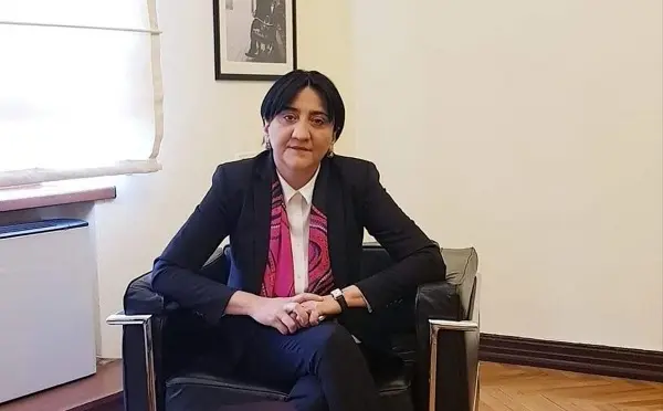 წერილი ღარიბაშვილს მართლა შეუგზავნეს, მდინარაძის დავალებით, თითქოს ავტორი  ივანიშვილია. ივანიშვილმა კი არაფერი იცოდა. ამიტომაც შეცვალა "სამომავლო გეგმები" მდინარაძემ - ირმა ინაშვილი