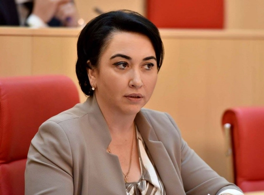 სწორი მიდგომაა, საკითხები სამართლიანად გადაწყდეს და არა ის, ვინმე საჩვენებლად დაისაჯოს - ეკა ბესელია ფარცხალაძისთვს ბრალის წარდგენაზე