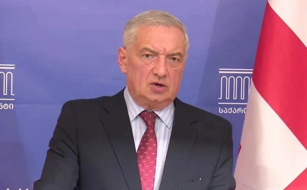 ელენე ხოშტარია ფლომასტერით გაკეთებული წარწერის გამო არ ზის ციხეში, იმ სქემის განვითარების მცდელობისთვის ზის, რომელსაც რევოლუცია ჰქვია - გია ვოლსკი