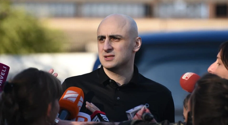 ნიკა მელია, პარტიის წევრებთან ერთად, კიევში გაემგზავრა