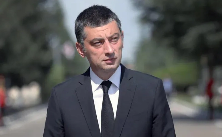  დავინახეთ ჩამოშლილი სახელმწიფო, არაკომპეტენტურობის პიკი - გახარია