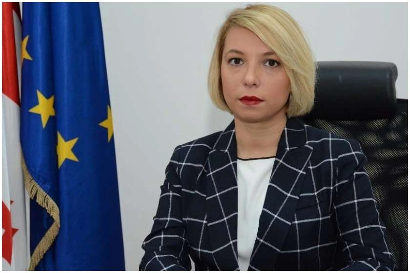 ომბუდსმენი მოუწოდებს პარლამენტს ნიკა მელიას მიმართ პატიმრობის გამოყენებასთან დაკავშირებით თანხმობა არ გასცეს
