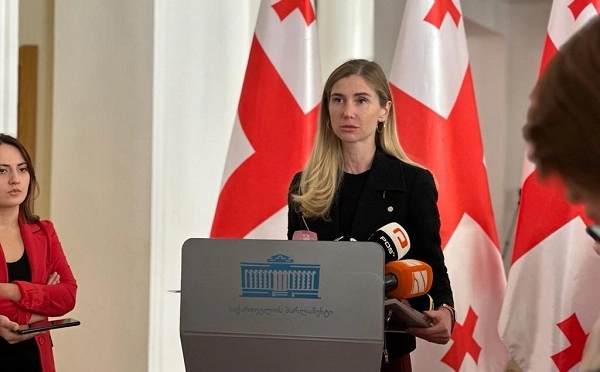 ნიკა მელიამ თავად დატოვა საკუთარი თავი პარტიის მიღმა და მას პარტიის წევრად არ განვიხილავთ - თინა ბოკუჩავა
