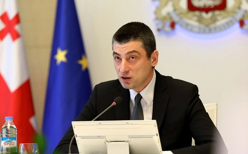 მიუღებელია, როდესაც ვაიექსპერტები ცდილობენ, ეპიდემიოლოგიური რჩევა პოლიტიკურად დააკონვერტირონ არჩევნების წინ  - გახარია