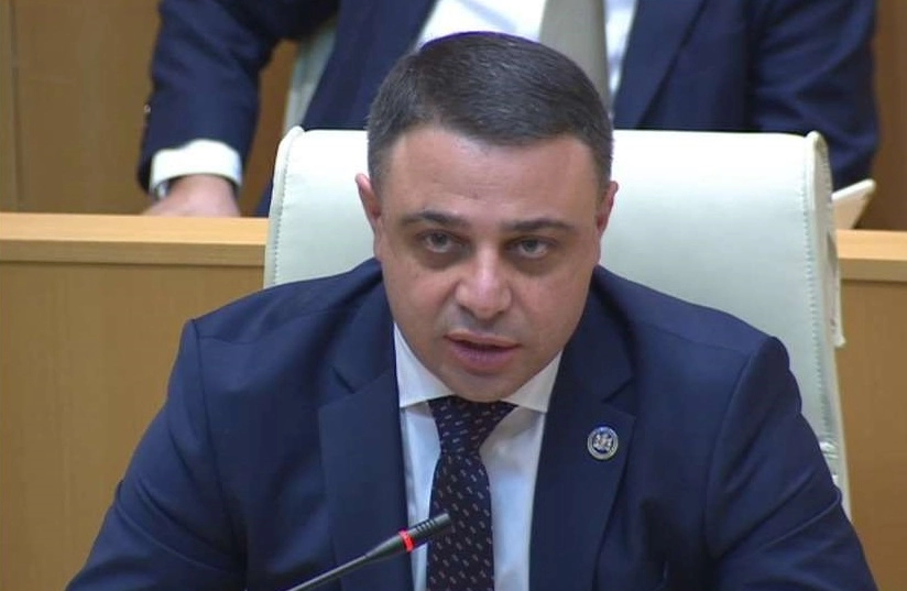 ნიკა მელია არის ხულიგანი, სააკაშვილის მიერ დამცირებული და  ისეთ დღეშია, რომ ყველაში ემპათიური გრძნობები გამოიწვია - ალუდა ღუდუშაური