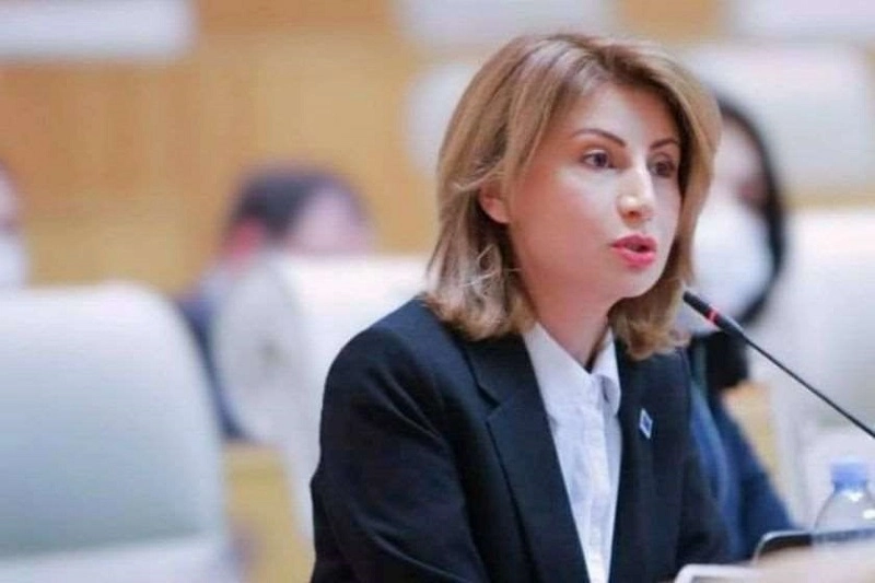 ირაკლი ღარიბაშვილი არის ერთერთი ყველაზე წარმატებული პრემიერმინისტრი საქართველოში - თამარ ტალიაშვილი 