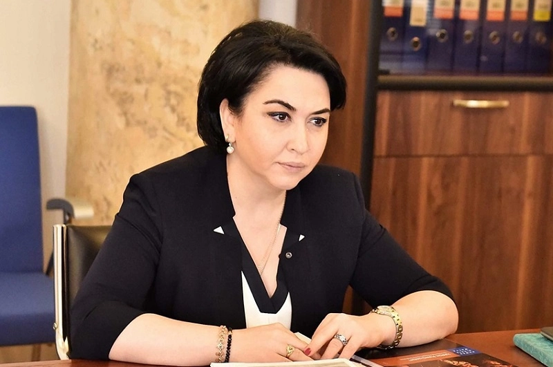 ვაფრთხილებდი ბიძინა ივანიშვილს, ვიდრე გადაწვავს ამ პარლამენტს - მიხედე დროზე ამ უმწიფარ კობახიძესთქო - ეკა ბესელია
