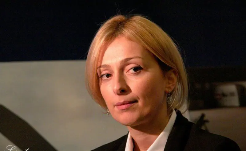 ანი ადარეიშვილი  „ერთიანი ნაციონალური მოძრაობის“ პოლიტსაბჭოს წევრი გახდა