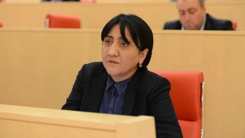 ნატო არის ჩვენთვის მიუღწევადი ამოცანა - ირმა ინაშვილი