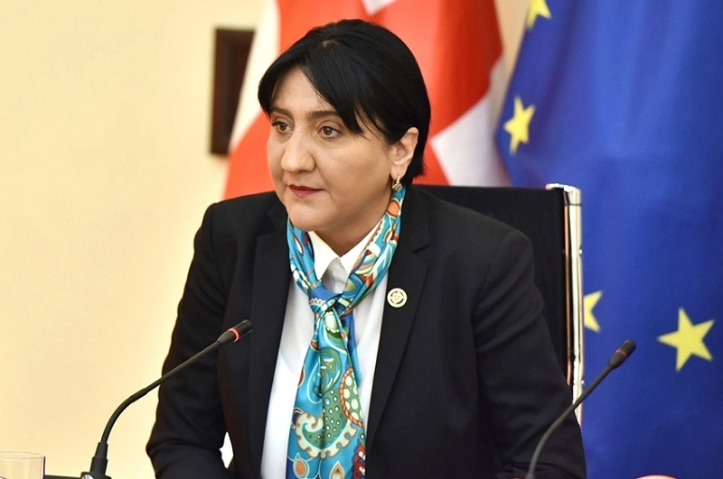 თქვენთან არავითარ კოალიციურ თანამშრომლობაზე ლაპარაკიც კი არ არის - ირმა ინაშვილი ირაკლი კობახიძეს