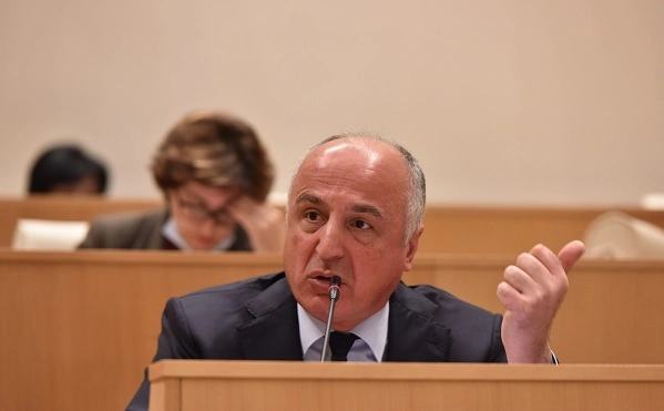 საპროცედურო საკითხთა კომიტეტმა ბადრი ჯაფარიძისთვის მანდატის შეწყვეტას მხარი დაუჭირა