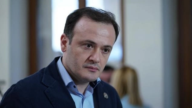 ვისურვებდი, უფრო მეტი ღიაობა იყოს დეგნანისა და ივანიშვილის შეხვედრის შესახებ ან ერთი ან მეორე მხრიდან - ზარქუა