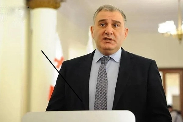 "ნაციონალური მოძრაობის" პერიოდში ამ სიმძიმის დანაშაულისთვის, შეიძლება, ციმბირი უკან მოეტოვებინათ - სარჯველაძე გვარამიაზე