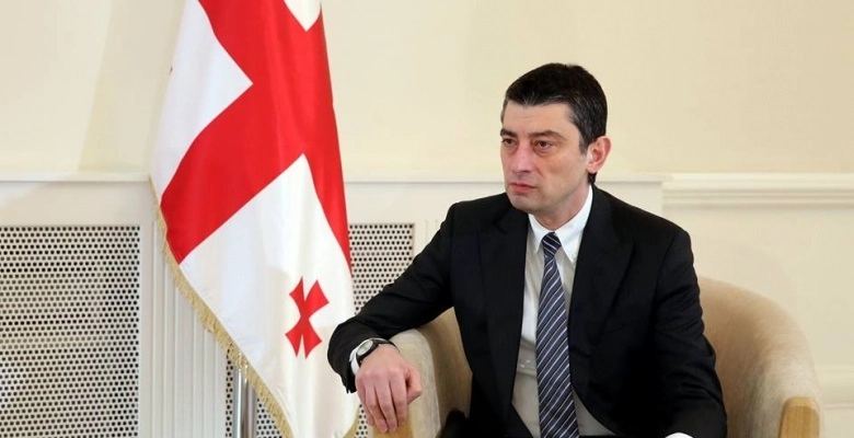 ყველა დროებით მოთავსების იზოლატორი აღჭურვილია კამერებით და 24 საათის ნაცვლად ეს ჩანაწერები ინახება 120 საათი - გიორგი გახარია