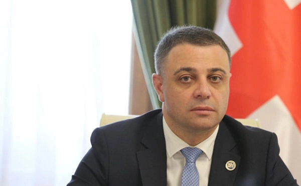 გუშინ რაც ვნახეთ, იყო „ნაციონალური მოძრაობის“ პოლიტიკური ქელეხი - ალუდა ღუდუშაური