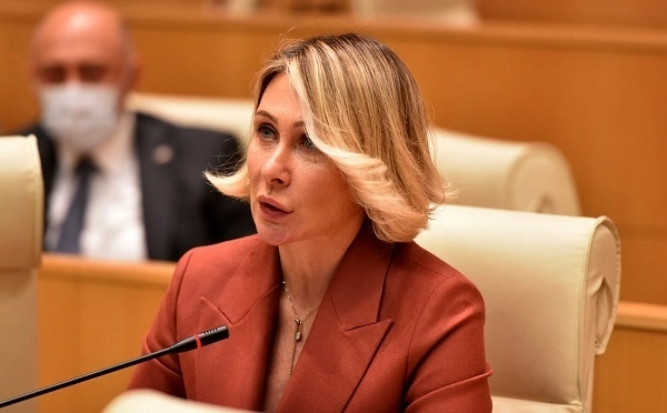 ევროპა ღირებულებებია და არა ღირებულებების ნგრევა ან შეურაცხყოფა - ნინო წილოსანი