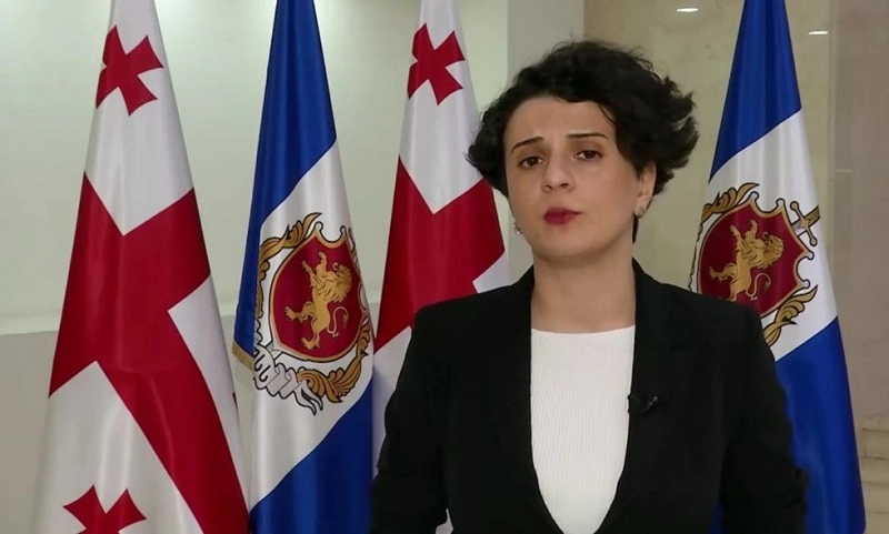 თუ გამოძიების პროცესში აუცილებელი იქნება, ზაზა სარალიძე გამოიკითხება - ნათია მეზვრიშვილი