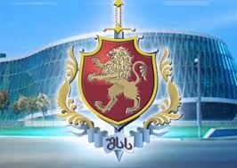 შსს-მ ცეცხლსასროლი იარაღი და საბრძოლო მასალა ამოიღო
