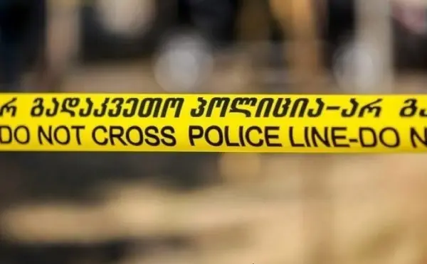 სენაკში შვილმა მამა დაჭრა