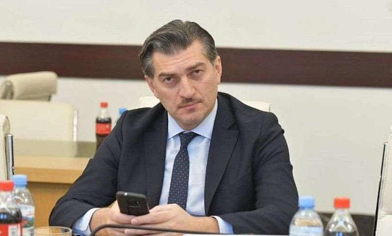 ამერიკის იმიჯის დასაცავად, კარგი იქნებოდა, „ნაციონალური მოძრაობის“ ხელით განხორციელებულ პროვოკაციებს საჯაროდ გამიჯვნოდით - ყაველაშვილი კელი დეგნანს
